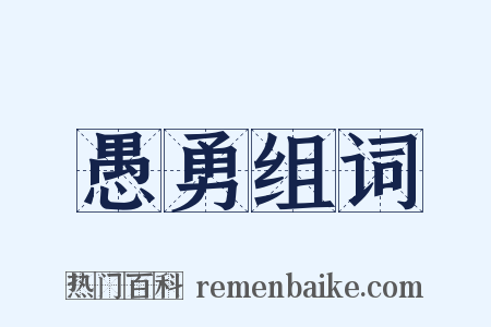 愚勇组词是什么意思的图片